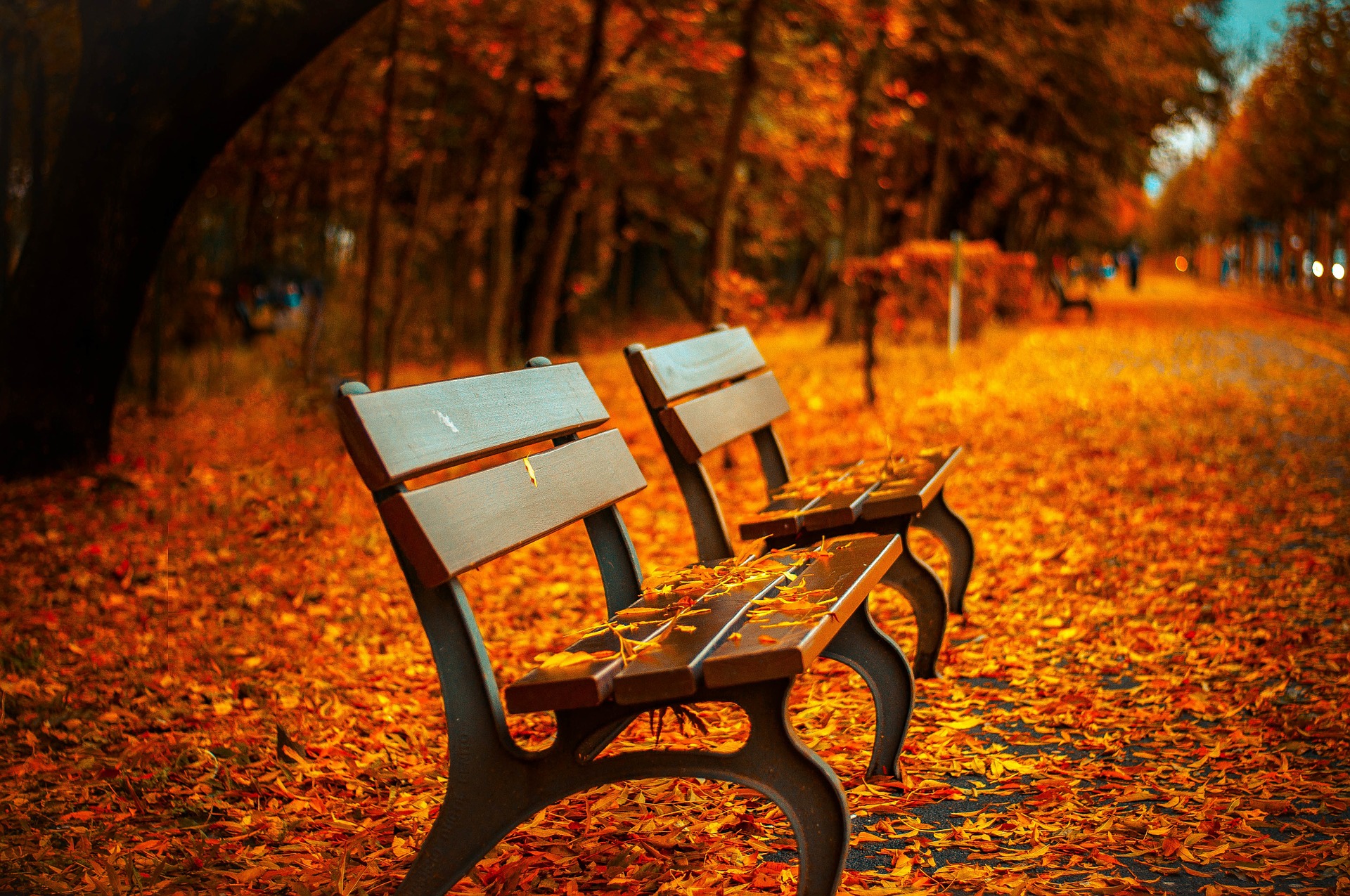 Mysłowice: Park Zamkowy w nowej odsłonie