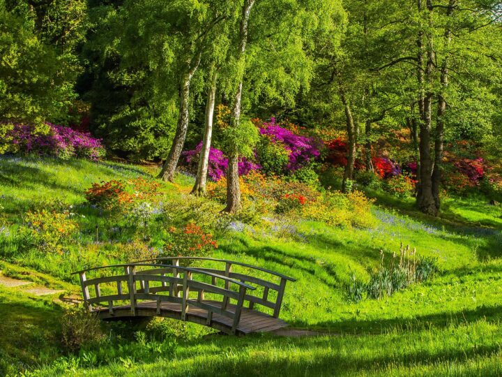 Park Zamkowy w Mysłowicach zaprasza na uroczyste otwarcie