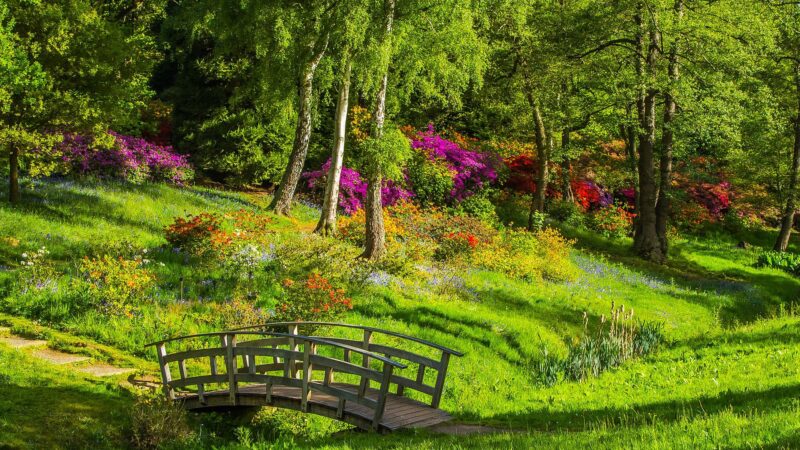 Park Zamkowy w Mysłowicach zaprasza na uroczyste otwarcie