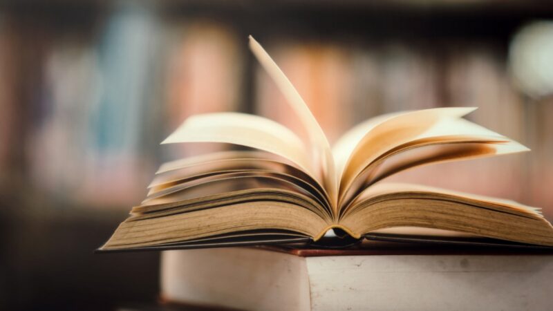Wspólne odkrywanie klasyków literatury w Szkole Podstawowej nr 1 w Mysłowicach
