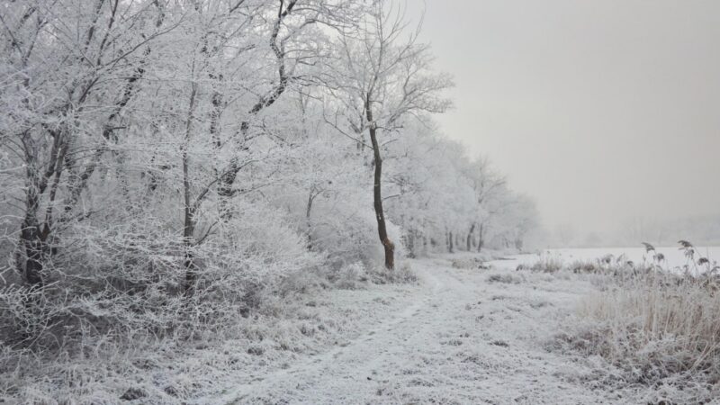 Pierwszy śnieg tej zimy przemienił Mysłowicką Promenadę w białą krainę