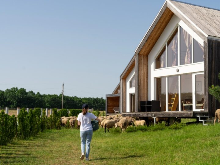 Plan rozbudowy Laryszu: 140 nowych domów jednorodzinnych dzięki krakowskiej spółce Trewert