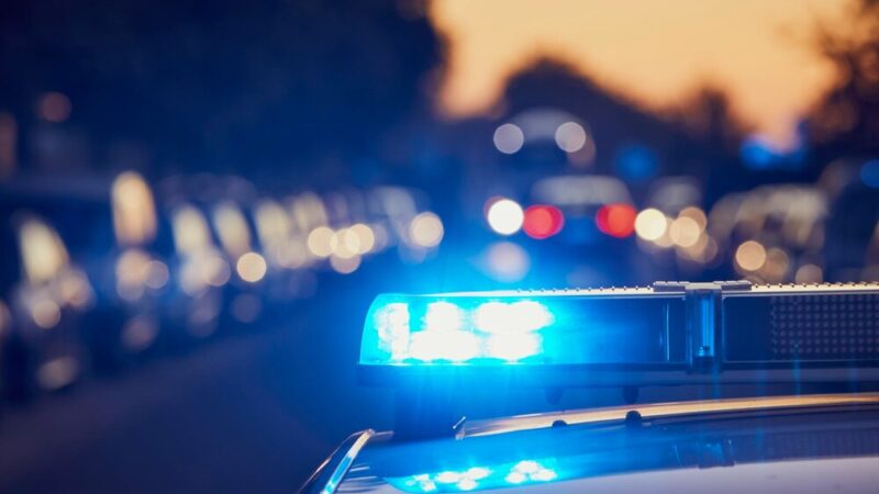 Mysłowiccy policjanci uhonorowani medalami podczas 106. rocznicy Policji Państwowej