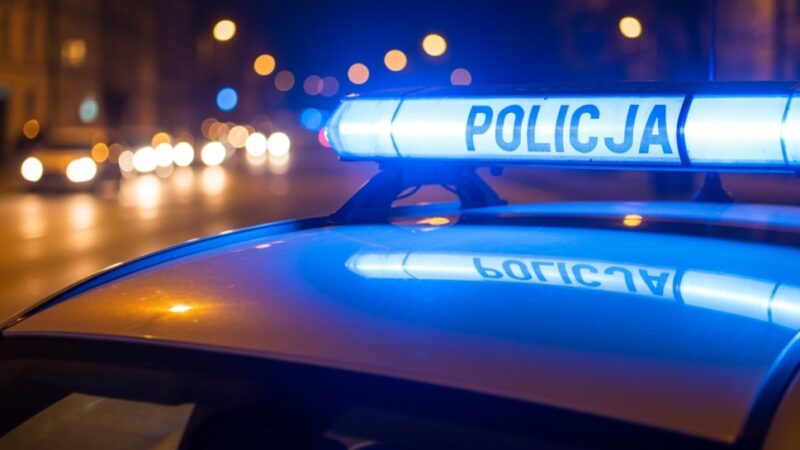 40-latka z Wrocławia w rękach policji po kradzieży żywności za 1100 zł