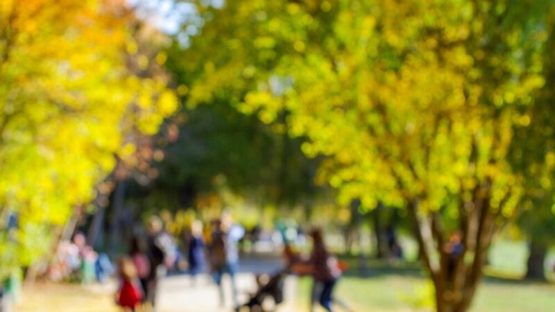 „Program 'Aktywnie w żłobku’ bije rekordy popularności wśród rodziców!”