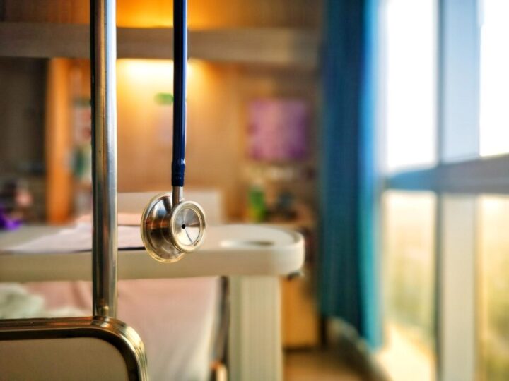 Dzień Ochrony Zwierząt: Czas na silniejsze prawa i bezpieczeństwo dla naszych pupili