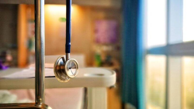 Dzień Ochrony Zwierząt: Czas na silniejsze prawa i bezpieczeństwo dla naszych pupili