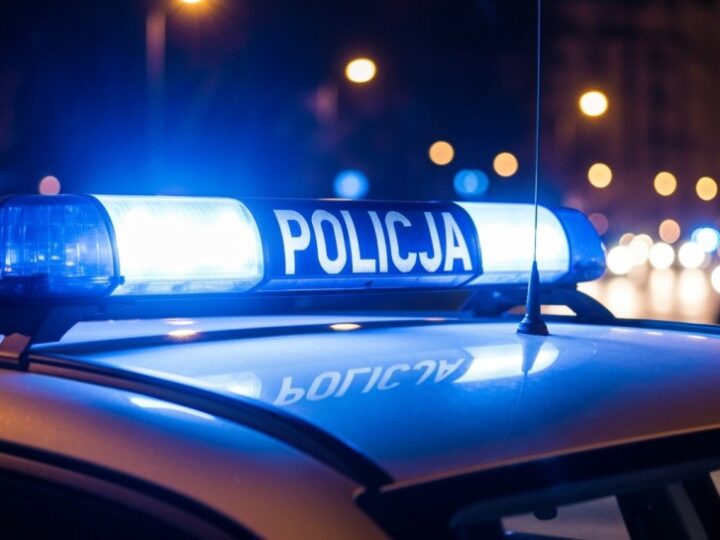 Wiosenne zagrożenia na drogach – bądź czujny na dziką zwierzynę!