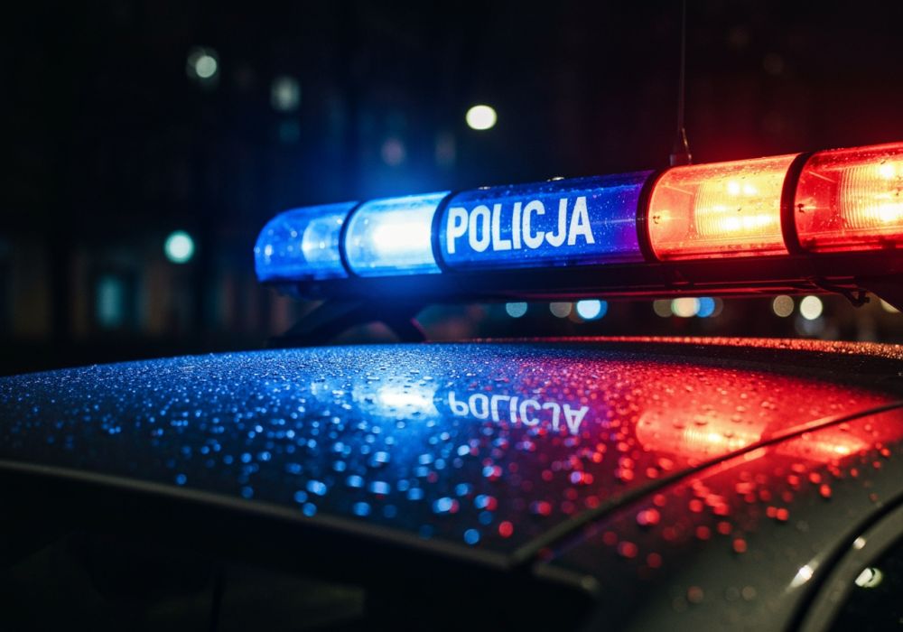 Nowoczesne metody polskiej Policji w walce z przestępstwami seksualnymi wobec dzieci