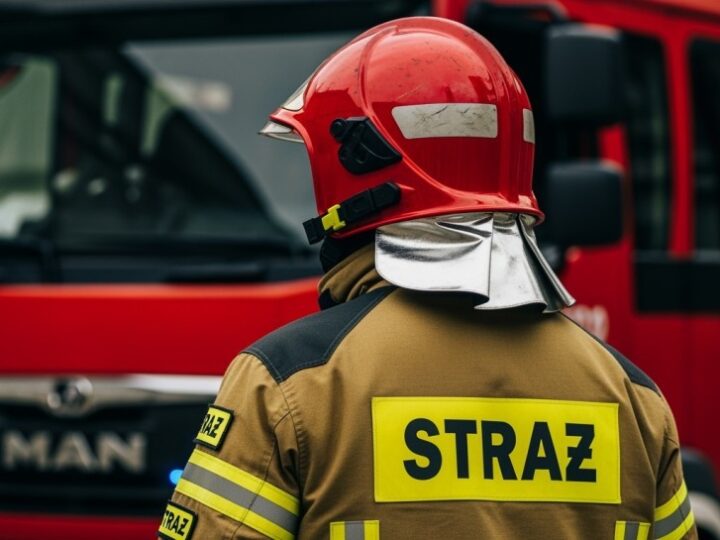 Strażacy uwalniają jelenia uwięzionego w siatce w Mysłowicach