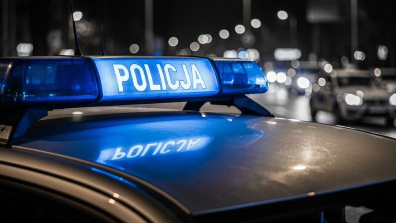 Psy samojedy wróciły do właścicielki dzięki interwencji policji w Mysłowicach