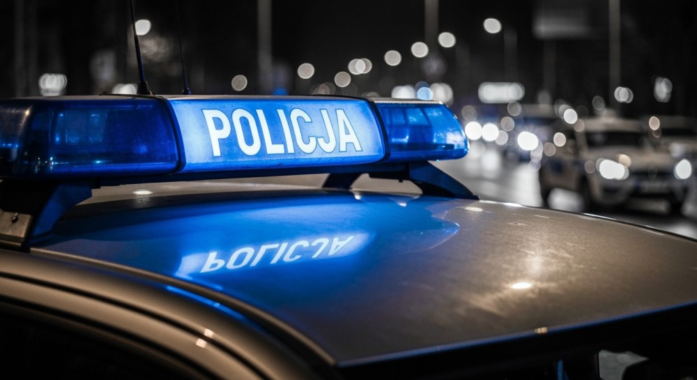 Psy samojedy wróciły do właścicielki dzięki interwencji policji w Mysłowicach