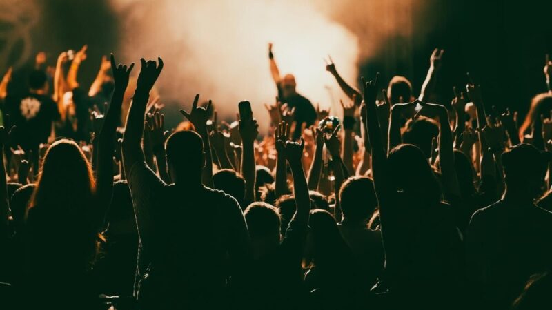 Wieczór muzycznych uniesień w Brzezince – chwała i harmonia w dźwiękach