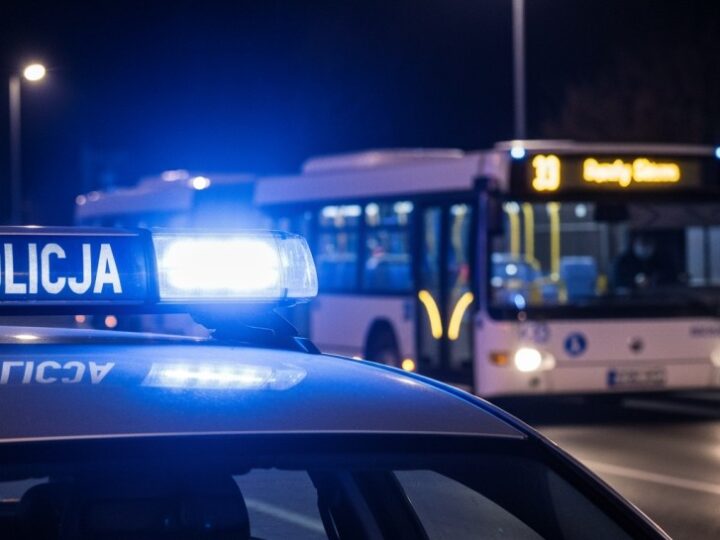 Międzynarodowy Dzień Współpracy Policyjnej – globalna walka z przestępczością