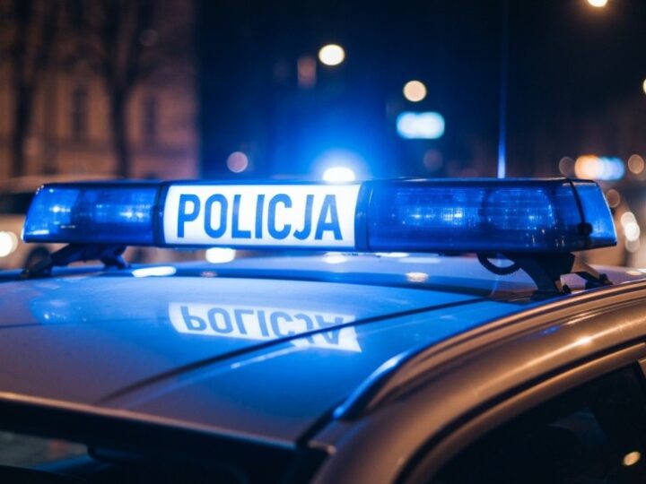 Egzotyczny pyton odkryty w piwnicy. Policja interweniuje w Tychach