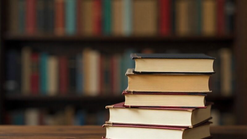 Noc Bibliotek 2026: odkryj świat pszczół i spotkaj się z Magdaleną Walą w Lędzinach!
