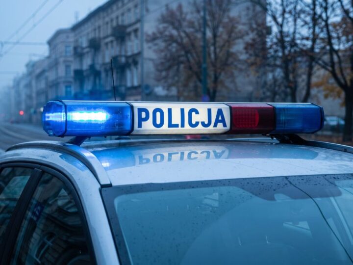 Zorro dołącza do katowickiej Policji jako nowy pies patrolowy