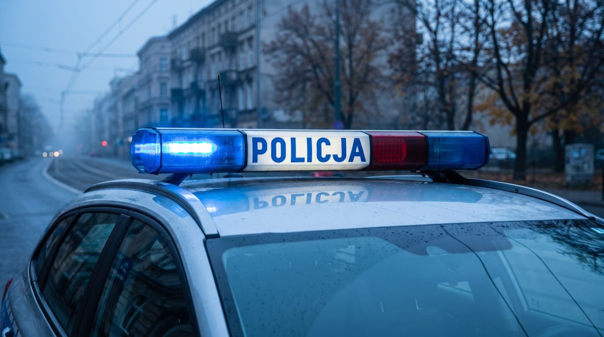 Zorro dołącza do katowickiej Policji jako nowy pies patrolowy